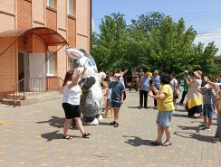 img (3)